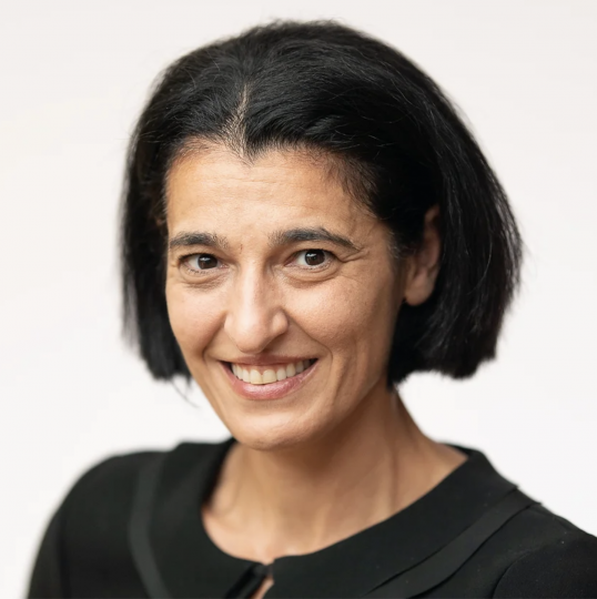 Headshot for Sepideh Modrek